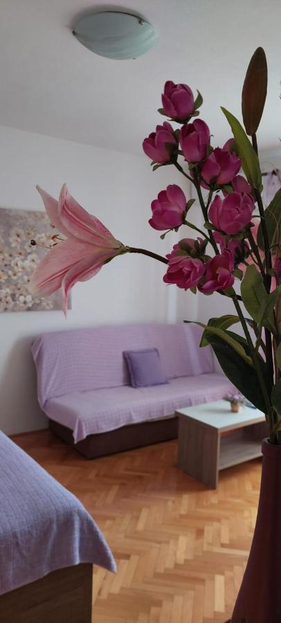Apartments Barcarola 파그 외부 사진